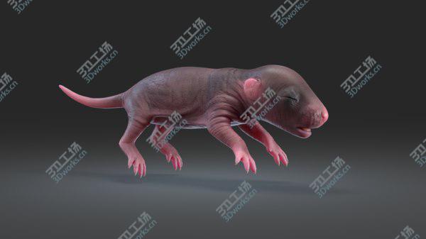 images/goods_img/20210312/Rat Baby Newborn Collection model/4.jpg